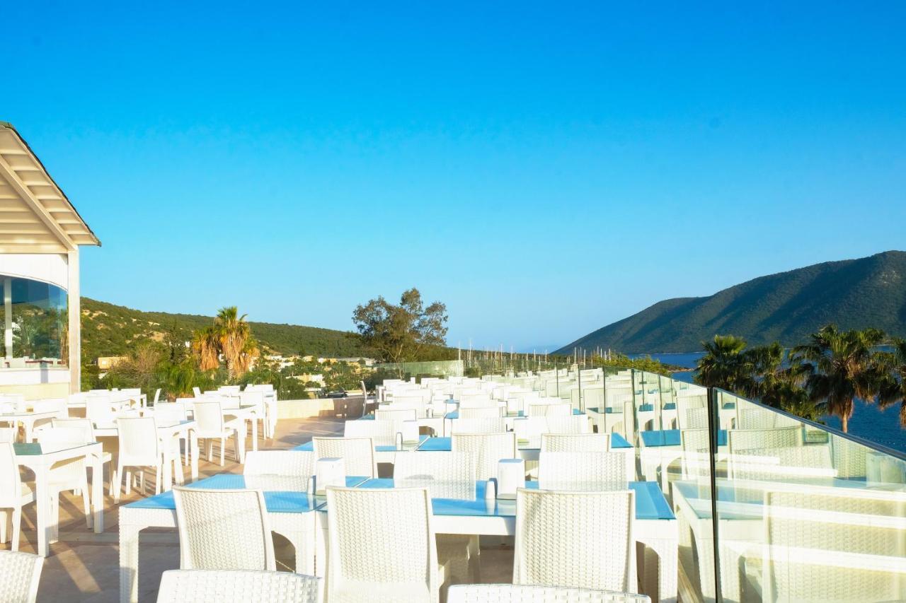 Hotel & 5*