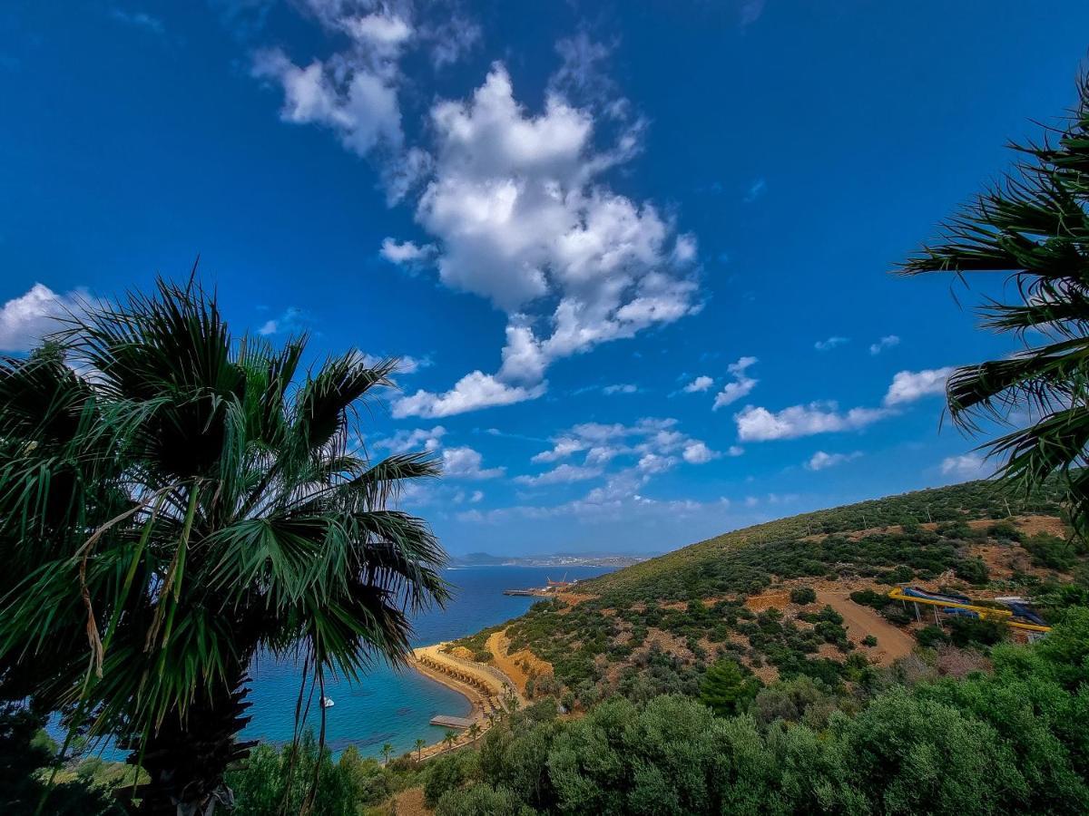Hotel & Bodrum