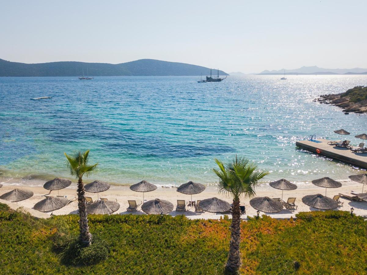 & Bodrum
