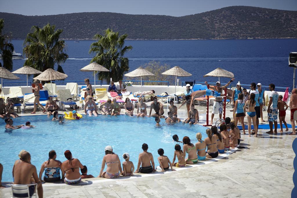 & 5* Bodrum